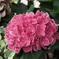 D7ADD50F-5878-4570-925A-B23C86EB9404