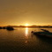 西の湖～Sunset