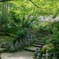 緑に囲まれて