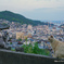 坂道の猫