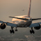 夕暮れの到着便　「Boeing 777-200」