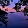 竹生島遠景