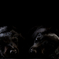 LR-D85_0460