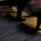 Tokyo Life