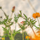 2019-09-04-19-13-29