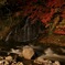 もみじ山