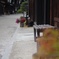 お気軽にどうぞ