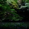 Tokyo Life
