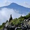 雷鳥と北岳