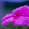 2019090517410