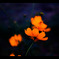 201909051741