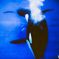 名古屋港水族館にて