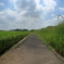 田舎の風景