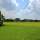 田舎の風景