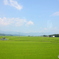 日本の風景　田んぼ