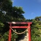 国上の神社
