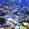 水族館