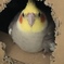 子育て真っ最中