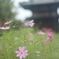 どこへの旅