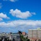 夏→秋
