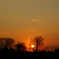 夕陽