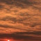 IMG_1414