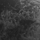 泡沫