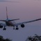 夕暮れANA