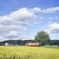 小湊鉄道と稲穂