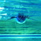 swim