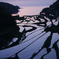 棚田