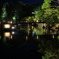 Hikone Castle night view②～Color
