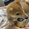 四方そういち