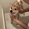 四方漱一とお風呂