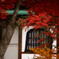 色づく山寺にて