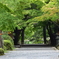 大原野神社