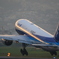 心ひとつにいこう 2020    20190831181128_5V0A9447
