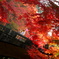 Autumn Bridge 秋にこそ映える橋