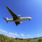 青空を往く