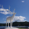 White Deer