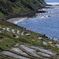 棚田の風景