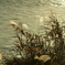DSC00835