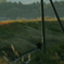 DSC00859