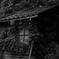 自然に戻ろう