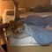四方漱一と犬と嫁がベッドにて