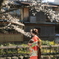 京都ならではの