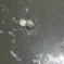 流されないよう  寄り添って