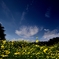 Autumn sky and yellow brightness