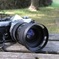 OM-2n