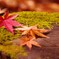 紅の溜息